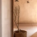 Willa Terracotta Fiscardo *