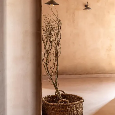 Villa Terracotta Fiscardo *